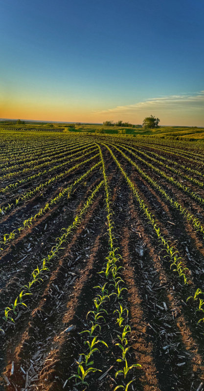 agronomy services