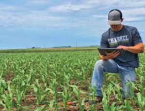 agronomy services